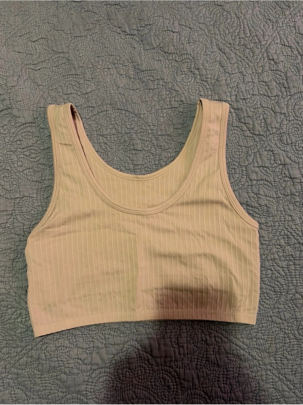 aerie Light Beige Ribbed Crop Tank